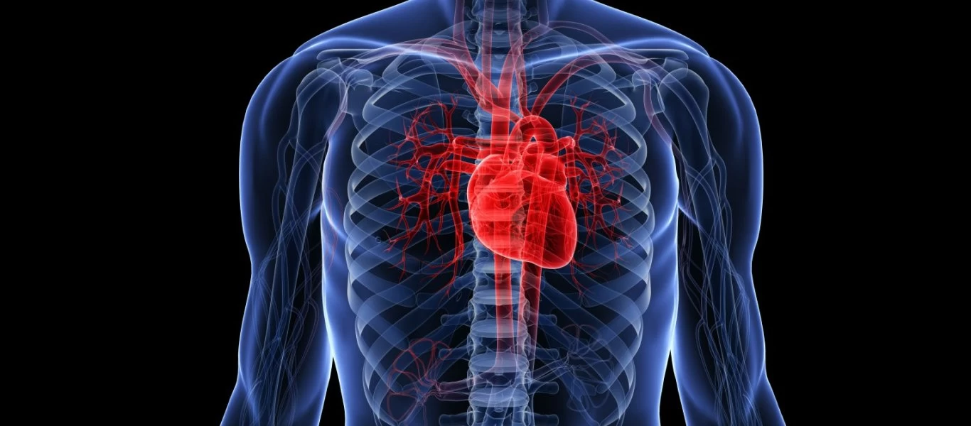 Έμφραγμα: Νέες εξετάσεις αίματος θα δείχνουν επιτόπου τι συμβαίνει στην καρδιά!